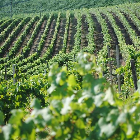 Cascina Dani Βίλα Agliano Terme Εξωτερικό φωτογραφία